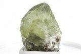 Olivine Peridot Crystal with Ludwigite Inclusions - Pakistan #213513-1